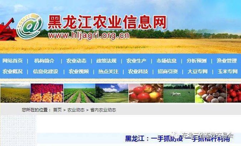 黑龙江网站建设